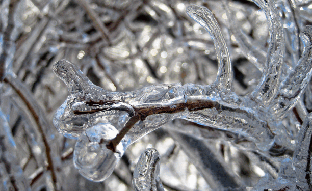 winter-ice-2013